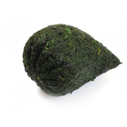 N'dole / biterleaves / bitawiri 50 x 500 gr-CM N'dole / biterleaves / bitawiri 50 x 500 gr-CM