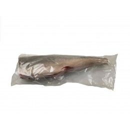 Jona Babyshark / Surameen HGT / IWP 2-3 kg 10 kg 100% NW -SR Jona Babyshark / Surameen HGT / IWP 2-3 kg 10 kg 100% NW -SR
