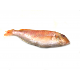 Japanese Threadfinbream/Kilimeen WR 4-6p VAC 10x1 Kg-VN Japanese Threadfinbream/Kilimeen WR 4-6p VAC 10x1 Kg-VN