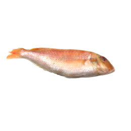 Japanese Threadfinbream/Kilimeen WR 4-6p VAC 10x1 Kg-VN Japanese Threadfinbream/Kilimeen WR 4-6p VAC 10x1 Kg-VN