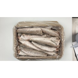 Hake/Merluzza/Productus HGT 500gr+ IQF 16 kg-CA Hake/Merluzza/Productus HGT 500gr+ IQF 16 kg-CA