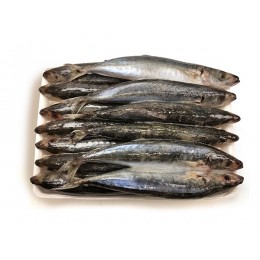 Round Scad/Ca Nuc Chuoi/Galunggong 12-14p VAC 10 x 1 kg-VN Round Scad/Ca Nuc Chuoi/Galunggong 12-14p VAC 10 x 1 kg-VN