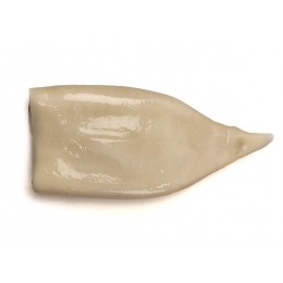 Squid tubes Natural 300-500 INTL 100% NW 10 kg-EC Squid tubes Natural 300-500 INTL 100% NW 10 kg-EC