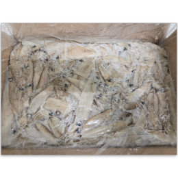 Seawave California Squid WR 9-11cm Block 10 kg-US