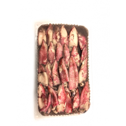 Jona Babysquid Whole (Loligo Duvaucelli) 80+ 12X1 Kg IQF-IN Jona Babysquid Whole (Loligo Duvaucelli) 80+ 12X1 Kg IQF-IN