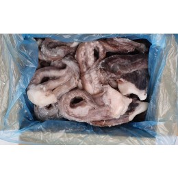Squid Tentacles Small 500-1000g (D.Gigas) 10 kg IQF 20%-PT Squid Tentacles Small 500-1000g (D.Gigas) 10 kg IQF 20%-PT