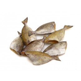 Jona Rabbit Fish (Otti) HG IQF 70 gr+ 10 x 1 Kg 10%-IN Jona Rabbit Fish (Otti) HG IQF 70 gr+ 10 x 1 Kg 10%-IN