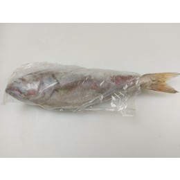 Kingsnappers/Jobfish WR IQF IWP 21 kilo 500-1000 100% NW-IN Kingsnappers/Jobfish WR IQF IWP 21 kilo 500-1000 100% NW-IN