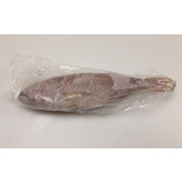 Kingsnappers/Jobfish WR IQF IWP 21 kilo 1000-2000 100% NW-IN Kingsnappers/Jobfish WR IQF IWP 21 kilo 1000-2000 100% NW-IN