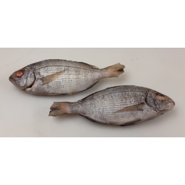 Dorade grise / Seabream WR 200-300 gr 5 kg IQF 10%-NL Dorade grise / Seabream WR 200-300 gr 5 kg IQF 10%-NL