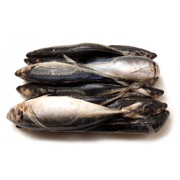 Jack/Horsemackerels Trachurus Murphy WR 500 g+ 2 x 10 Kg-PE Jack/Horsemackerels Trachurus Murphy WR 500 g+ 2 x 10 Kg-PE
