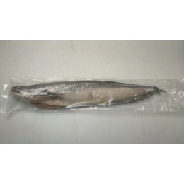 Boal WG 1000-2000 gr+ 1 x 10 kg IQF/IWP-IN Boal WG 1000-2000 gr+ 1 x 10 kg IQF/IWP-IN