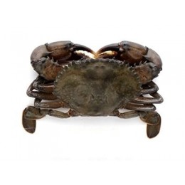 Softshell Crabs Cleaned Jumbo 9-10 10 x 1000 Gr- VN Softshell Crabs Cleaned Jumbo 9-10 10 x 1000 Gr- VN
