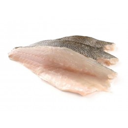 Seabass fillet descaled skin on 400/800 gr 10 kg IQF-20%-NL Seabass fillet descaled skin on 400/800 gr 10 kg IQF-20%-NL