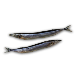 Jona Garfish / Atlantic Saury WR 18-25 10 x 1 kg NW-ES Jona Garfish / Atlantic Saury WR 18-25 10 x 1 kg NW-ES