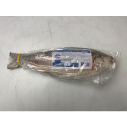 Hilsa Whole round IWP IQF 800/1000 gr 1 x 20 kg-MM Hilsa Whole round IWP IQF 800/1000 gr 1 x 20 kg-MM