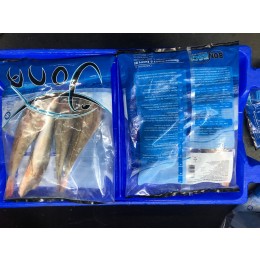 Jona Red Gurnard Whole Round 5 pcs 8 x +/- 1 kg 10%-NL Jona Red Gurnard Whole Round 5 pcs 8 x +/- 1 kg 10%-NL