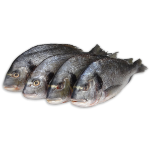 Dorade Royal WR 300-400g Bulk IQF 1 x 5kg 15% -TR