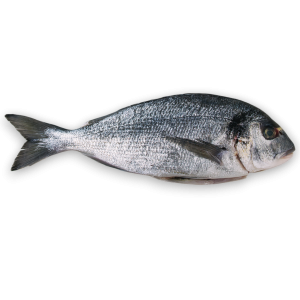 Jona Dorade Royal WGS 400-600g IQF 1 x 5kg 20%-TR