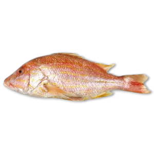 Lane Snappers (Lutj.Synagris) 200g-UP WGS IQF 10 x 1kg -SR