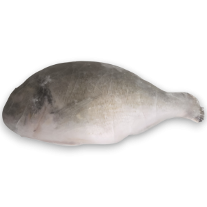 Jona Dorade Royal WGS 400-600g IQF 1 x 5kg 25%-TR