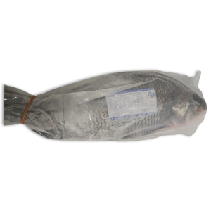 Ult. Taste Catla Gutted 5kg-UP IPB 1 x 22kg 20% -MM
