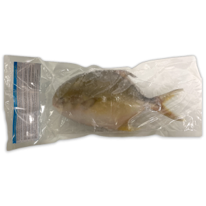 Ultimate Taste Golden Pomfret WR 500-600g IPB 1 x 6kg 20%-CN