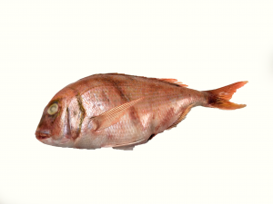 Snapper/Besugo WR 400-600 gr 1 x 10 kg semi IQF-AR