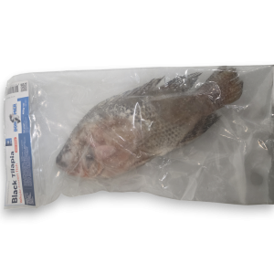 Bonemer Tilapia WGS 500-800g IPB 1 x 4kg 20% -VN