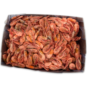 Nordic Cooked Pandalus 90/120 IQF 1 x 5 kg 100% -CA