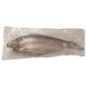 Hilsa Whole round IWP IQF 300/500 gr 1 x 10 Kg.-IN