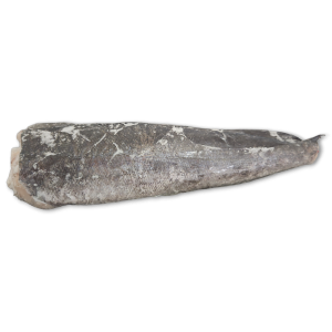 Hake HGT 300-450g IWP 1 x 21.5kg -MR