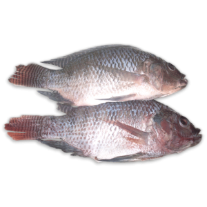 DSD Tilapia WGS 500-800g IWP 1 x 4kg 20% -TH