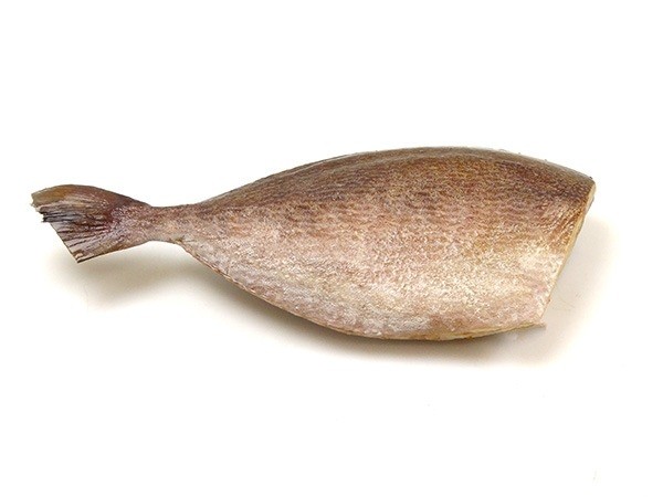Jona Rabbit fish Oora HG 400g+ IQF IWP 10 Kg 10%-IN