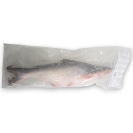 H&N Pangasius WG 500-1000g IPB 1 x 4 kg 20% -VN