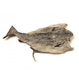 Saithe (Colin) Butterfly Split -Pol. virens- 13/15 25 kg-NO Saithe (Colin) Butterfly Split -Pol. virens- 13/15 25 kg-NO