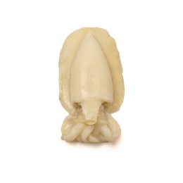 Cuttlefish/Sepia Whole Clean 1000-2000 gr 1 x 10 kg IQF -IN Cuttlefish/Sepia Whole Clean 1000-2000 gr 1 x 10 kg IQF -IN