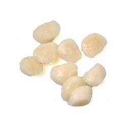 Asian moon scallop / Coquilles 30/40 20 x 500 10%r-PH Asian moon scallop / Coquilles 30/40 20 x 500 10%r-PH