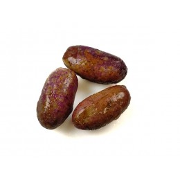 Ripe african purple plums / Safu 30 x 454 g -CM Ripe african purple plums / Safu 30 x 454 g -CM