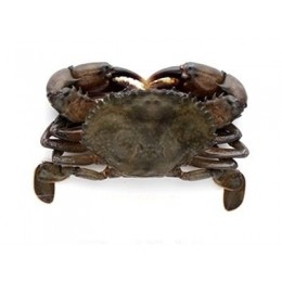 Softshell Crabs Cleaned Hotel 18 pcs 10 x 1000 Gr- BD Softshell Crabs Cleaned Hotel 18 pcs 10 x 1000 Gr- BD