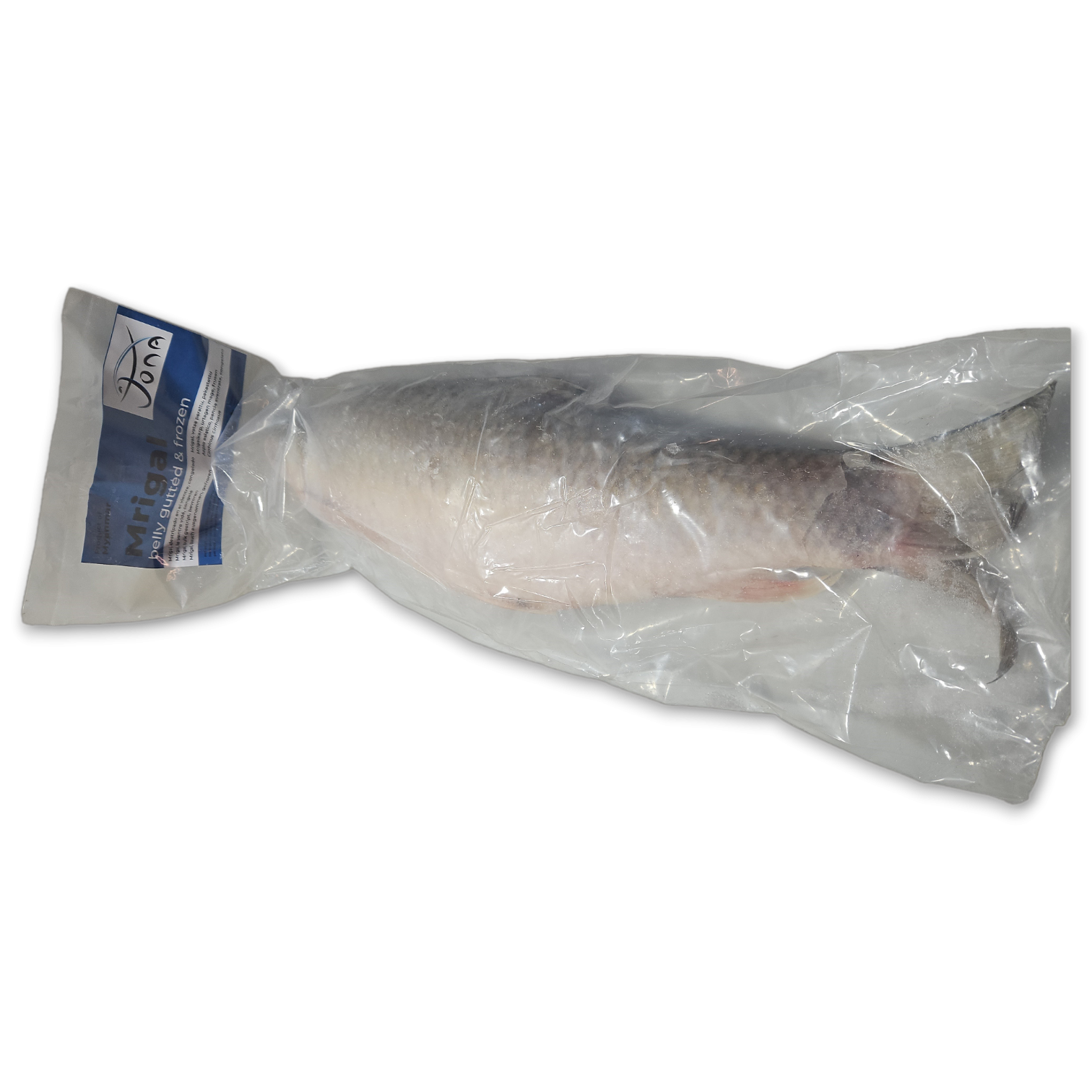 Mrigal gutted 2-3 kg 20 kg-MM