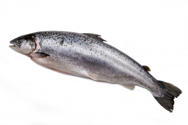 Atlantic Salmon / Salmo Salar WG 1800gr+ IQF 10kg-NO