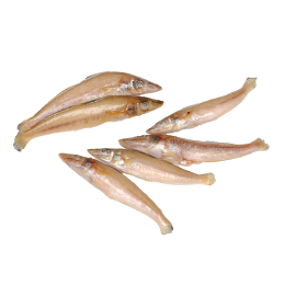 BBD 03-23 Ladyfish/S. Silago/Kilakan Gutted 20/30 10x1 kg-IN BBD 03-23 Ladyfish/S. Silago/Kilakan Gutted 20/30 10x1 kg-IN