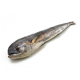 Jona Mahi Mahi Whole Gutted 5000-7000 gr IWP 20 Kg 10% -IN Jona Mahi Mahi Whole Gutted 5000-7000 gr IWP 20 Kg 10% -IN