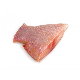 JONA Tilapia steaks Red 5 x 1 kg IQF 20%-VN JONA Tilapia steaks Red 5 x 1 kg IQF 20%-VN