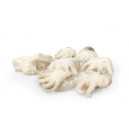 Baby Octopus Whole Cleaned 10/20 pc/kg 10 x 1 kg -IN Baby Octopus Whole Cleaned 10/20 pc/kg 10 x 1 kg -IN