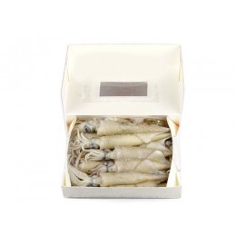 Loligo WR 9-11 cm 12 x 1 Kg block-US Loligo WR 9-11 cm 12 x 1 Kg block-US