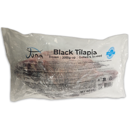Jona Tilapia WGS 2000g-UP IPB 1 x 10kg 20% -CN