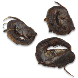 Smoked Cat Fish rings small 5 kilo-SR Smoked Cat Fish rings small 5 kilo-SR