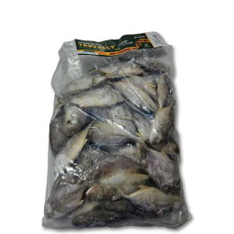 Jona Ceylon Trevally (Caranx Sp) WR 0.1-0.5 kg 2 x 5 kg-LK Jona Ceylon Trevally (Caranx Sp) WR 0.1-0.5 kg 2 x 5 kg-LK